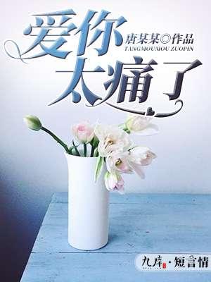 爱你太痛了封面