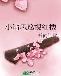 小钻风巡视红楼封面