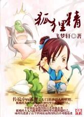 狐貍精封面
