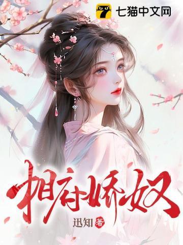 相府娇奴封面