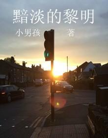 黯淡的黎明封面