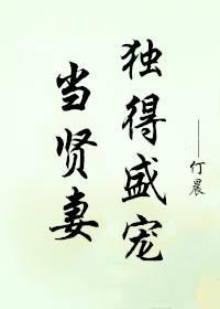 当贤妻独得盛宠封面