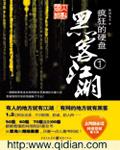 疯狂的硬盘封面