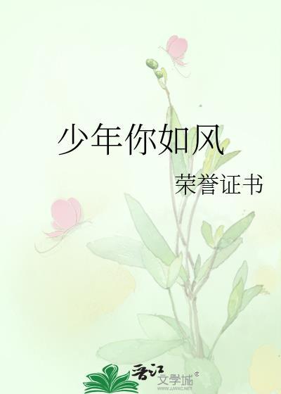 少年你如风封面