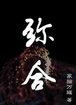 弥合封面