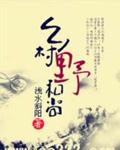 乡村野和尚封面