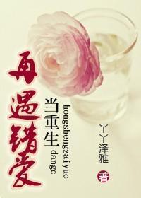 当重生再遇错爱封面