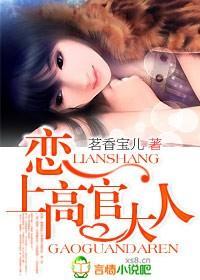 恋上高官大人封面