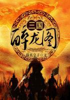 三国醉龙图封面