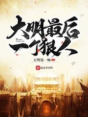 朱慈烺崇祯封面