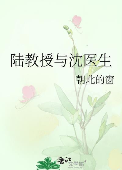 陆教授与沈医生封面