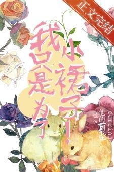我只是为了小裙子！封面