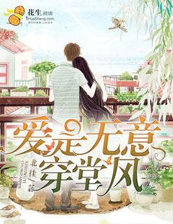 爱是无意穿堂风封面