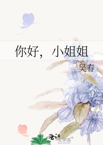 你好，小姐姐封面