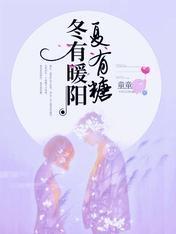 冬有暖阳夏有糖封面