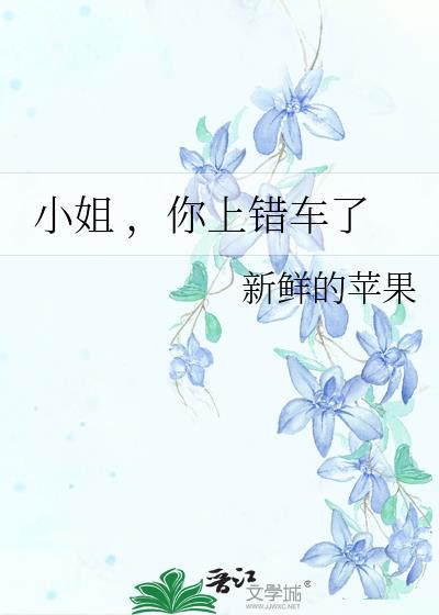 小姐 ，你上错车了封面