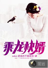 乘龙快婿封面