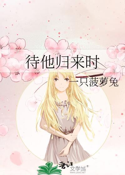 待他归来时封面