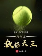 网坛之数据天王封面