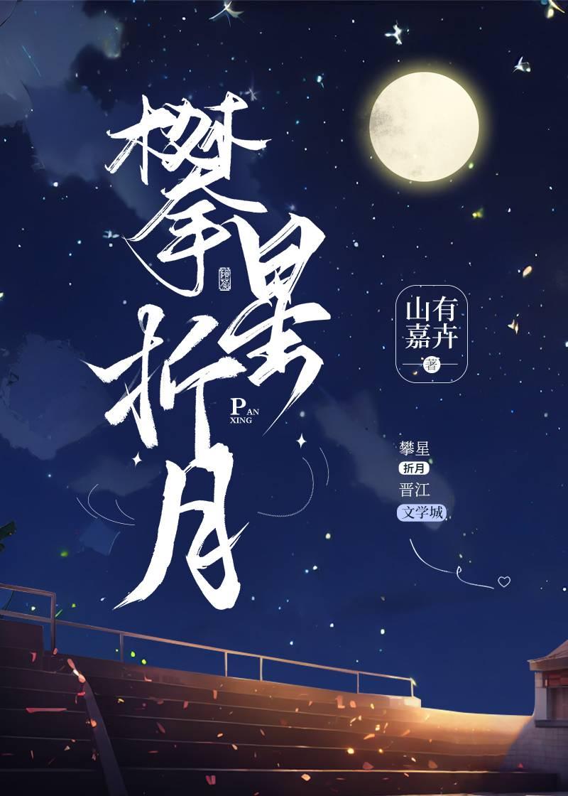 攀星折月封面
