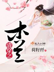 清穿之木兰封面