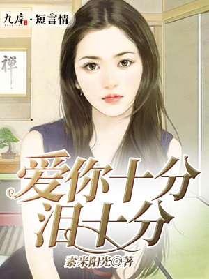 爱你十分泪十分封面