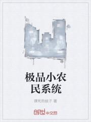 极品小农民系统封面