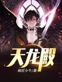 天龙殿封面