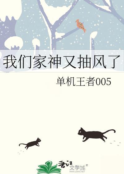 我们家神又抽风了封面