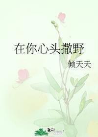 在你心头撒野封面