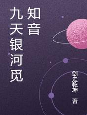 九天银河觅知音封面