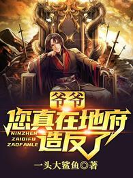 爷爷，您真在地府造反了？张帝封面