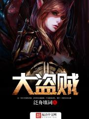 大盗贼封面
