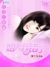 会有姐夫替我爱你：亿万小老婆封面