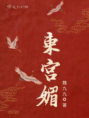 东宫媚妾封面