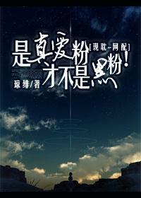 是真爱粉才不是黑粉!封面