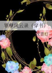 罪孽风云录（穿书）封面