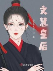 文慧皇后封面