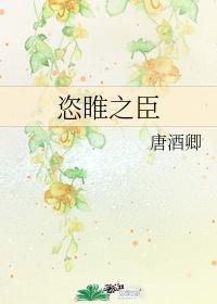 恣睢之臣封面