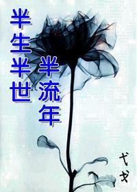半生半世半流年封面
