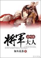 请叫我将军大人封面
