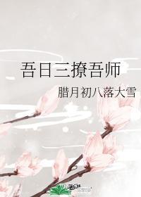吾日三撩吾师封面