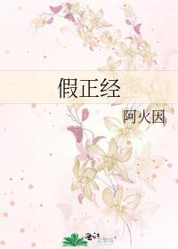 假正经封面