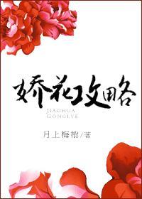 娇花攻略封面