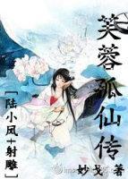 芙蓉孤仙传封面