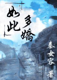 如此多娇封面
