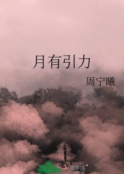 月有引力封面