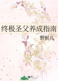 终极圣父养成指南封面