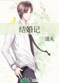 结婚记封面