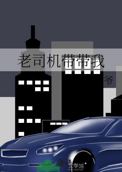 老司机带带我封面